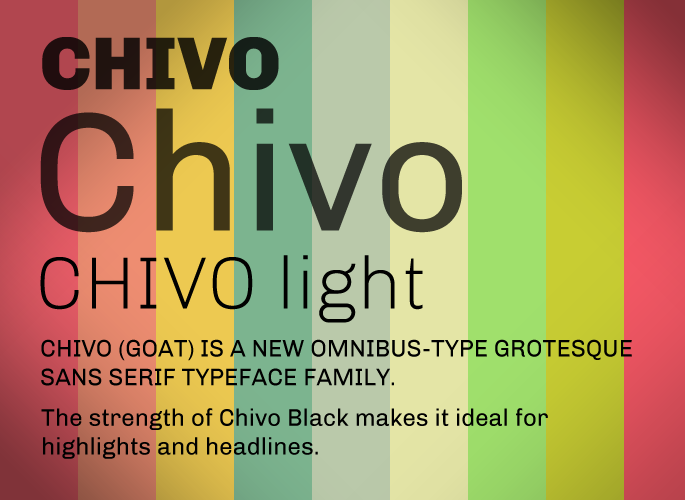 Chivo Font from Google Fonts