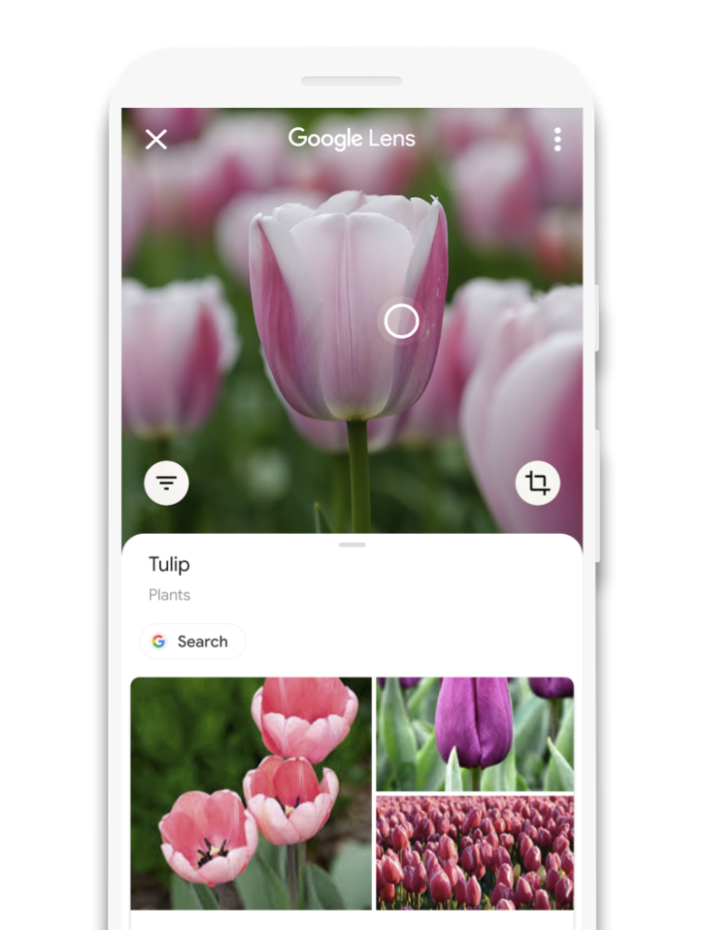  Google Lens for Android scans QR Code