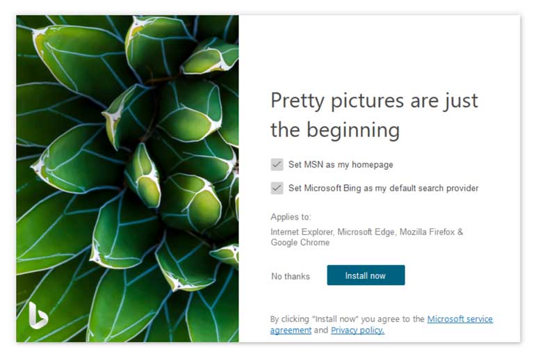 bing homepage images visual search