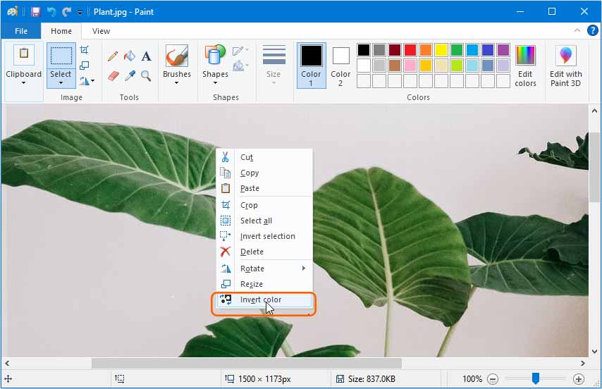 How to Invert Colors of your Photos in Windows - Digitional