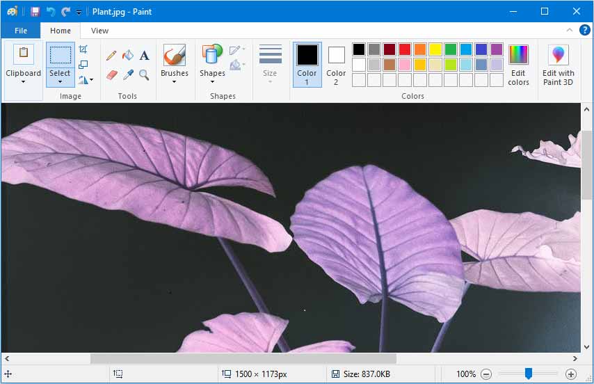 How to Invert Colours in MS Paint: 9 Steps (with Pictures)